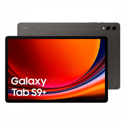 Samsung Galaxy Tab S9+ X810 512GB Grey